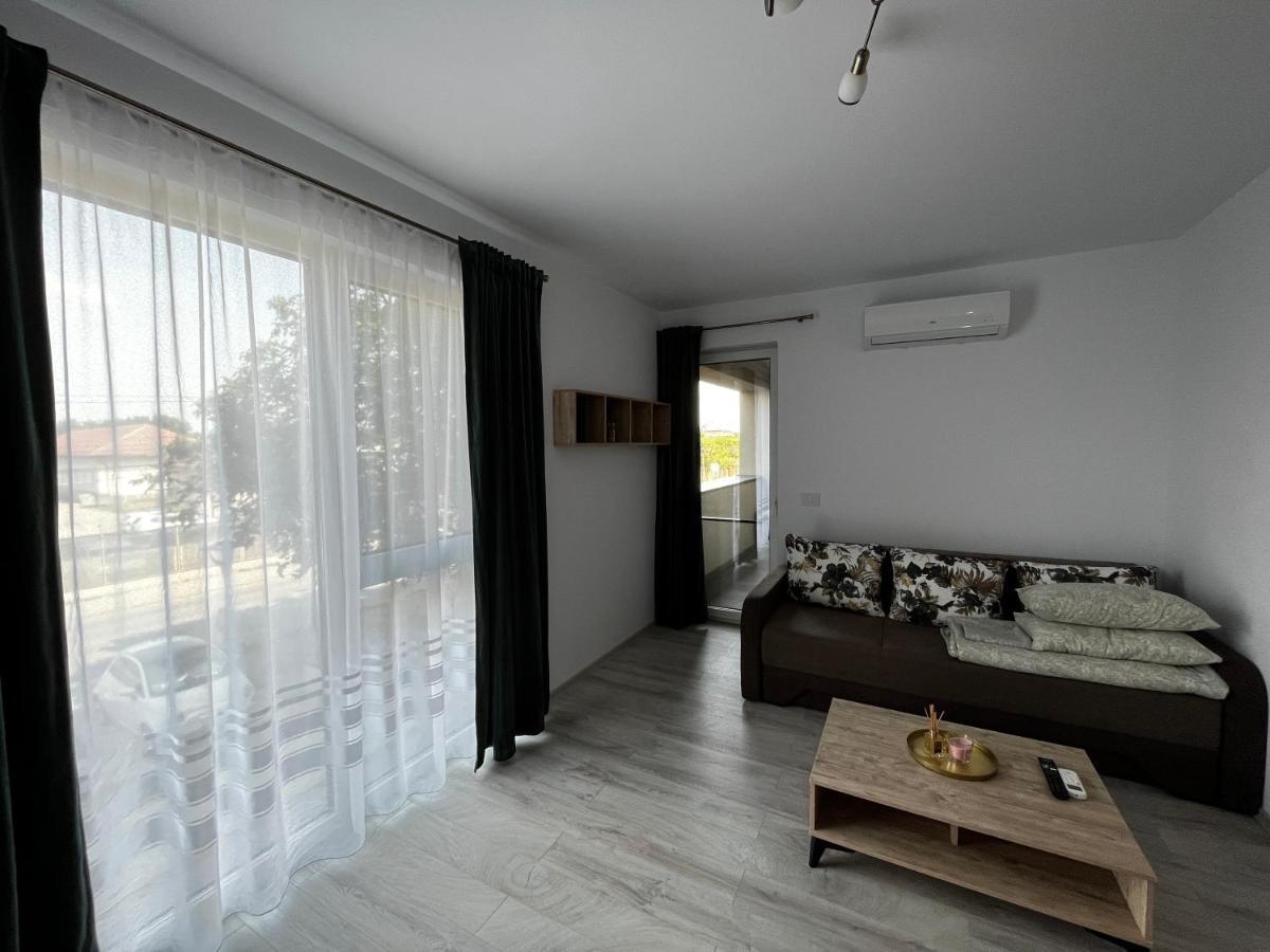 Apartament Modern Cu O Camera Apartment Тимишоара Екстериор снимка